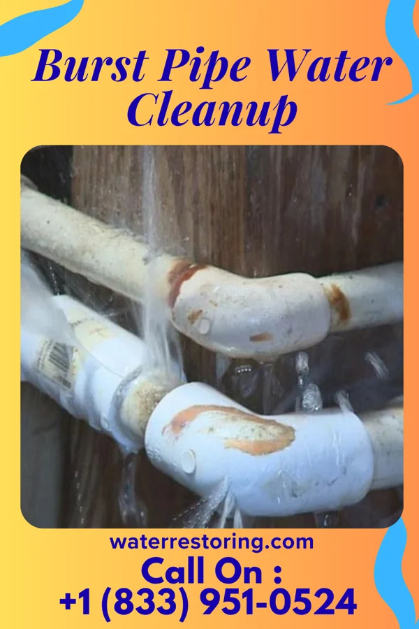 Burst Pipe Water Cleanup in Kalida, OH