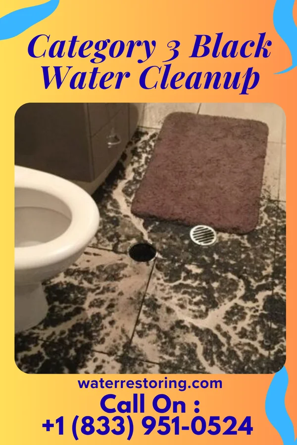 Category 3 Black Water Cleanup in Kalida, OH