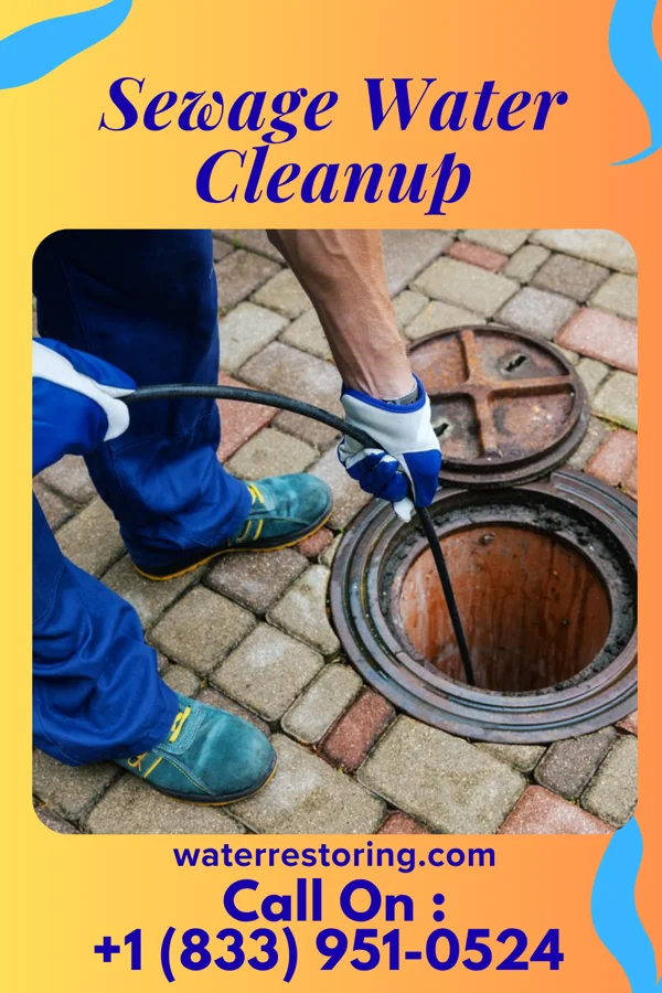 Sewage Water Cleanup in Kalida, OH